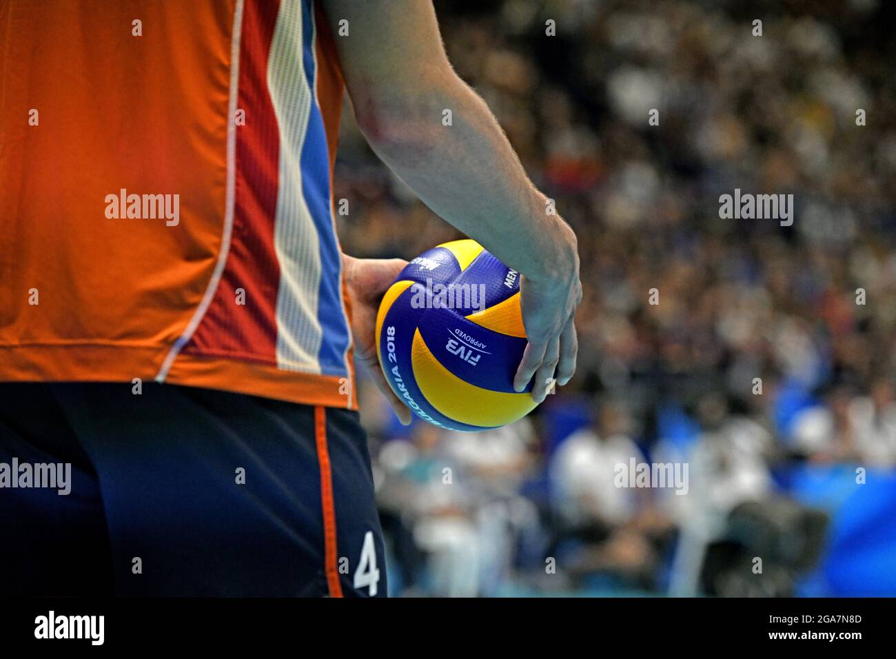 Gros plan les mains du joueur de volley-ball tenant le ballon, pendant le Championnat du monde hommes de volley-ball 2018, Italie contre pays-Bas, à Milan. Banque D'Images