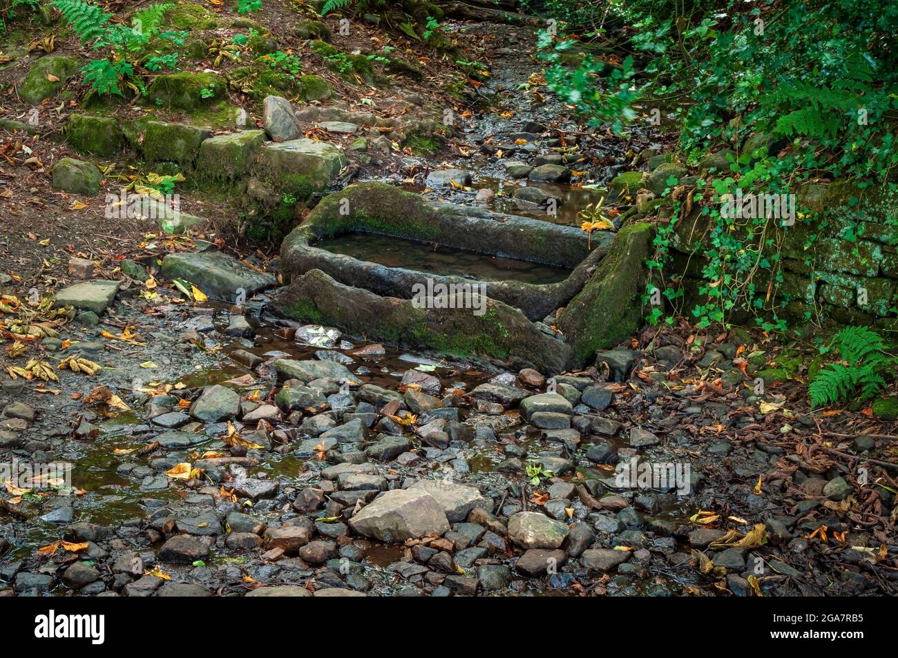 Le très ancien Trap Lane à Bents Green à Sheffield, en regardant vers le sud dans une petite vallée, avec un vieux bac en pierre qui recueille l'eau du ruisseau. Banque D'Images