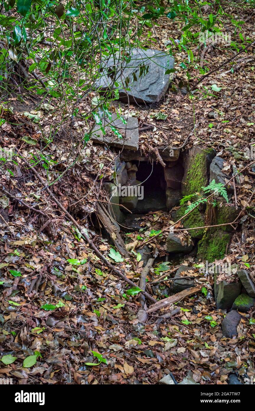 « drain de la boîte » construit pour transporter l'eau d'une colline saturée, peut-être pour aider avec les mines de charbon anciennes à proximité, à Bents Green, Sheffield Banque D'Images