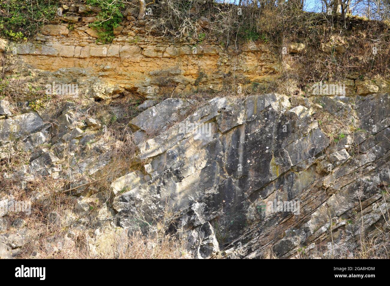 Bêche de la discordance géologique Oolite inférieure jaune repose sur un calcaire gris à pendage abrupt calcaire carbonifère. Somerset UK Banque D'Images