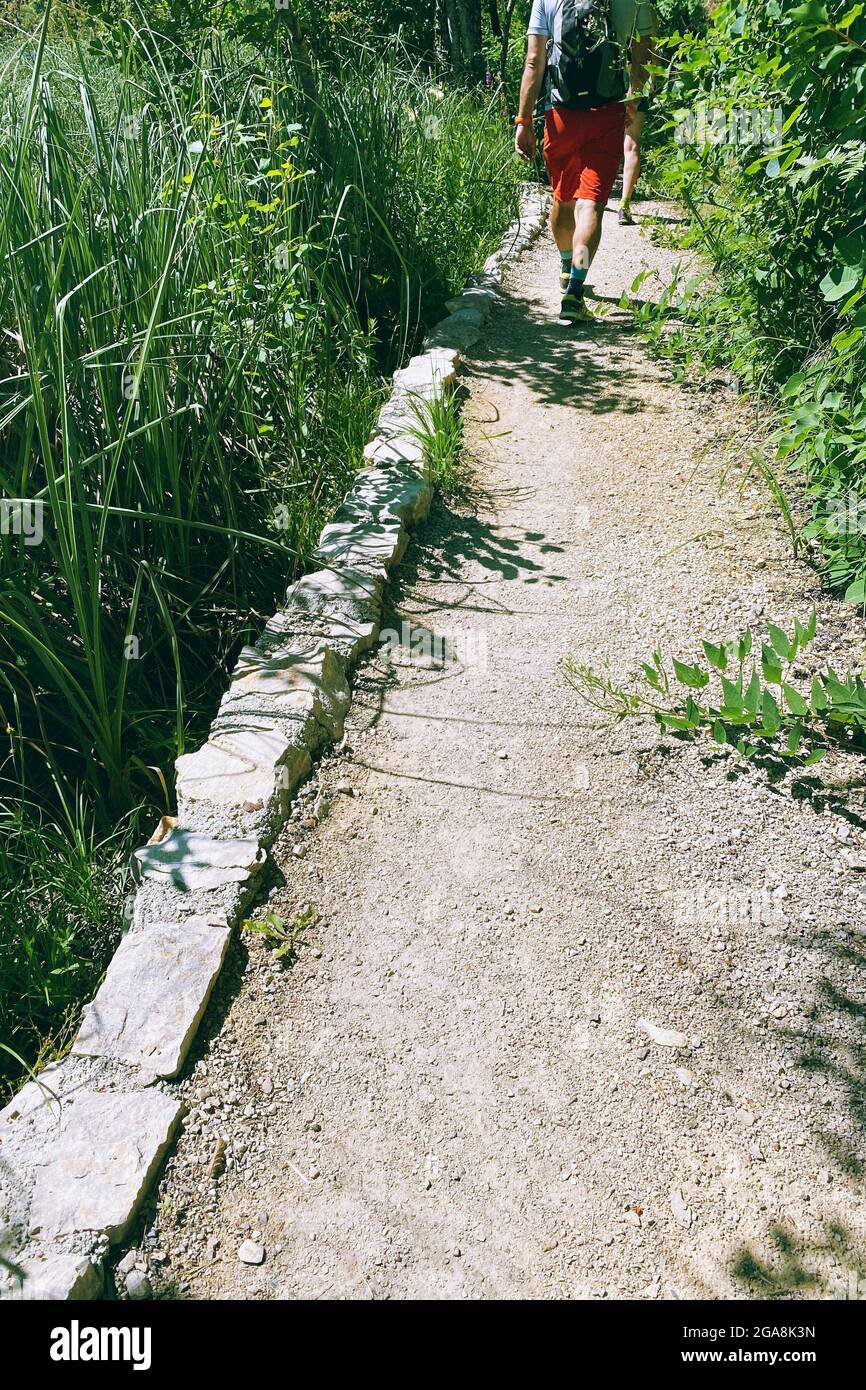 Randonnée touristique dans la nature. Paysages d'été le long du parc vert en voyage. Promenade dans la randonnée. Banque D'Images