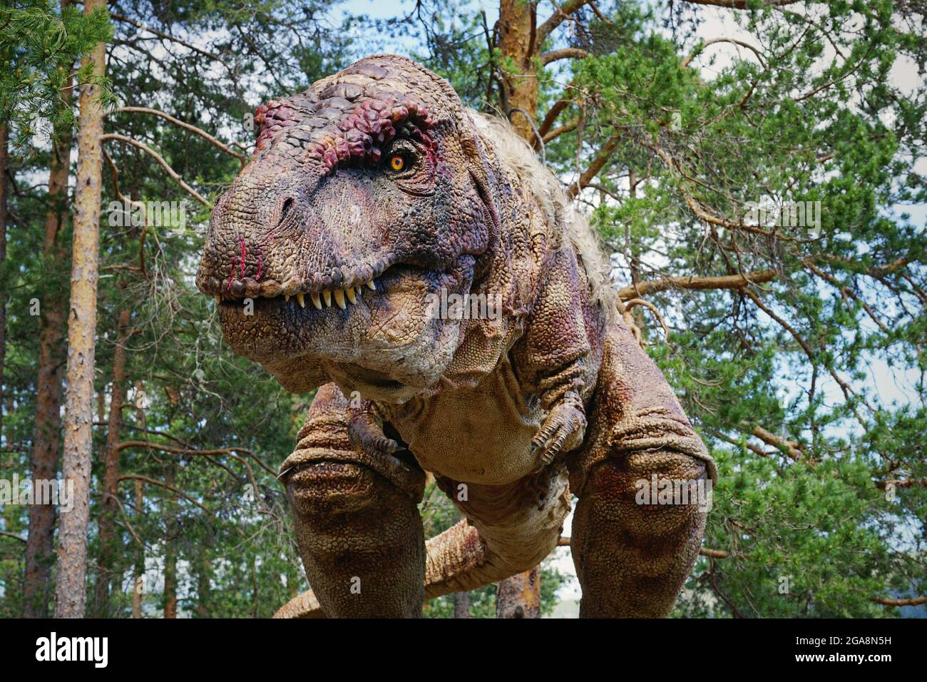 Tyrannosaurus rex t-rex dinosaure modèle animatronique Banque D'Images