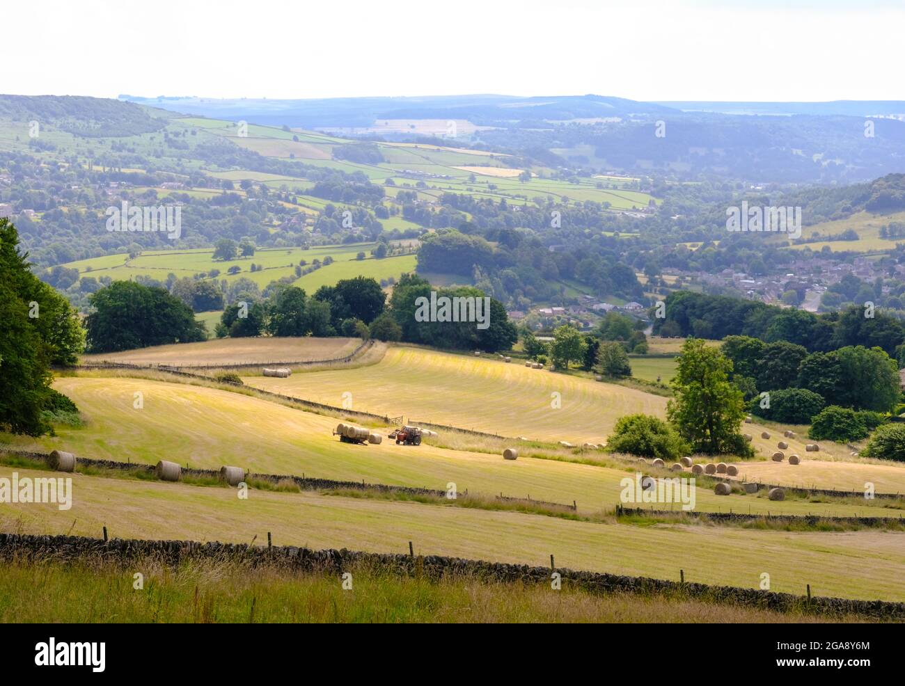 Pressage de foin dans une campagne ouverte près du village de peste de Derbyshire d'Eyam. Les verts contrastés des collines contrastent avec la répétition des murs. Banque D'Images