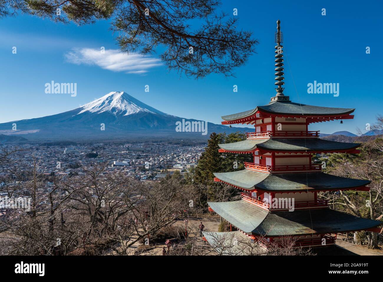 Vue emblématique du Mont Fuji et de la pagode de Chureito. Magnifique temple shinto rouge avec fond de montagne et de ciel bleu au Japon. Banque D'Images