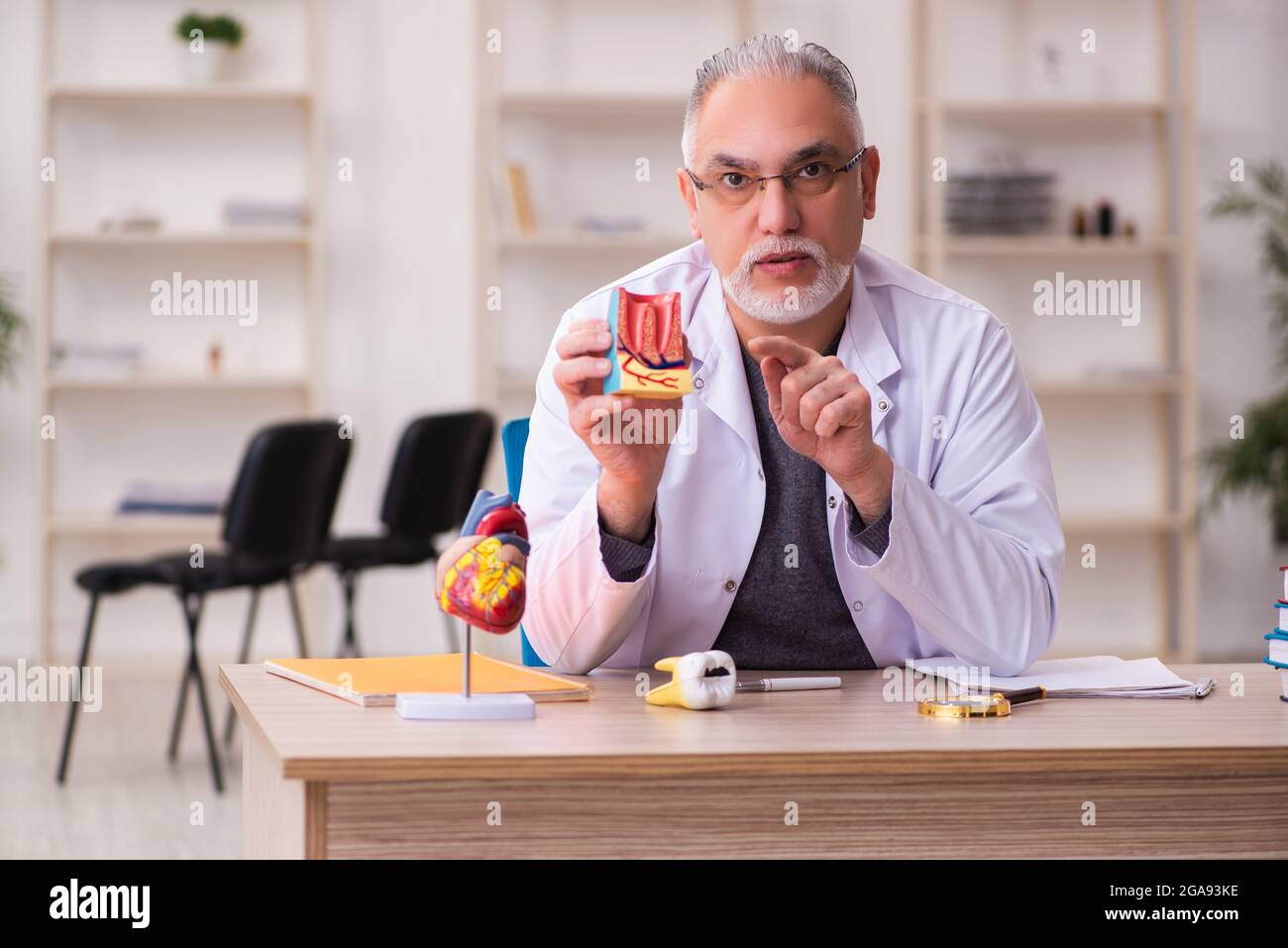 Ancien professeur de dentiste assis dans la salle de classe Banque D'Images