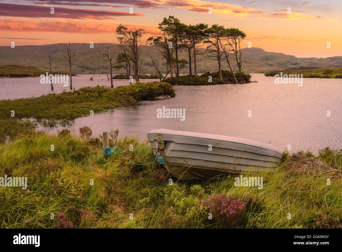 Lac avec arbres sur une île dans Scotland Highlands Banque D'Images