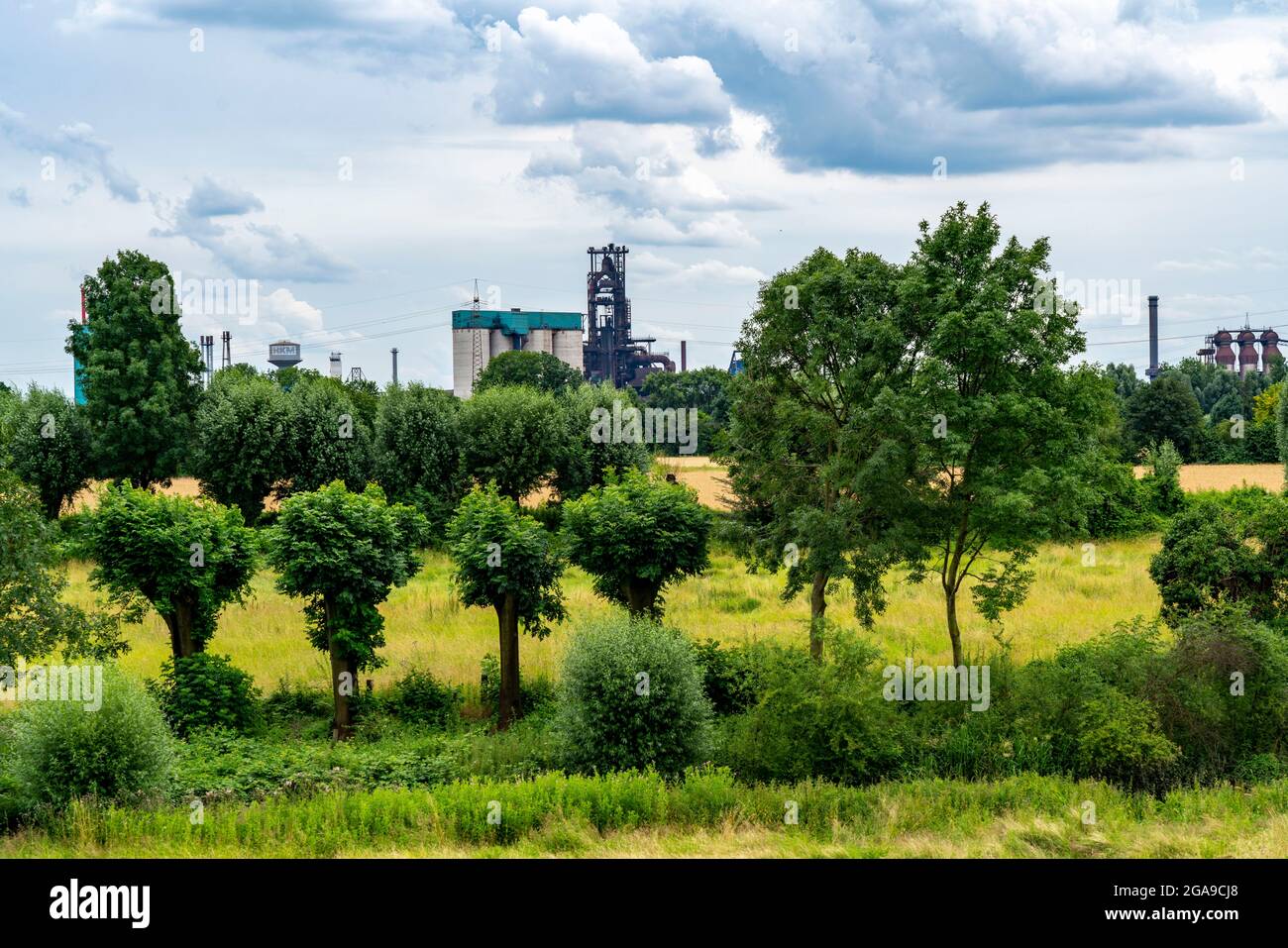 Duisburg Friemershein, plaine inondable le long du Rhin, réserve naturelle Rheinaue Friemersheim, en arrière-plan l'aciérie HKM, NRW, Allemagne Banque D'Images