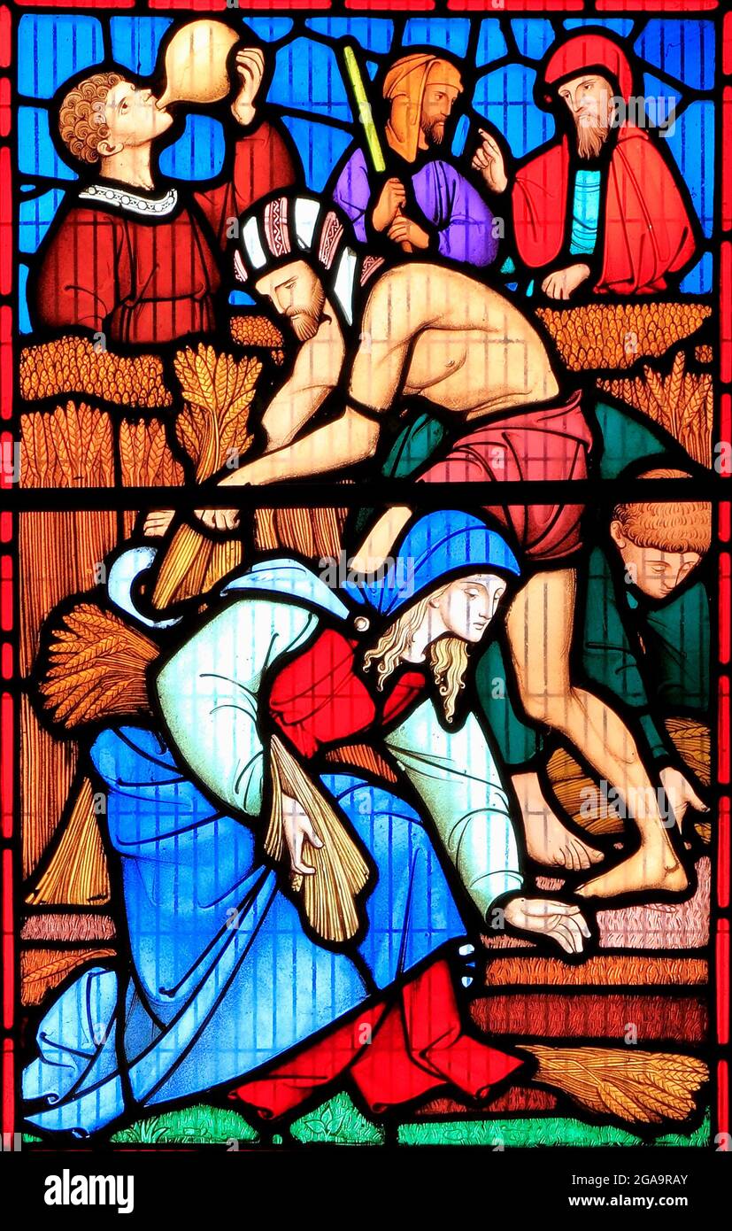 The Story of Ruth, vitrail, par Robert Bayne, de Heaton Butler & Bayne, 1862 ans, Sculthorpe Church, Norfolk, Angleterre, Royaume-Uni. Ruth gle Banque D'Images