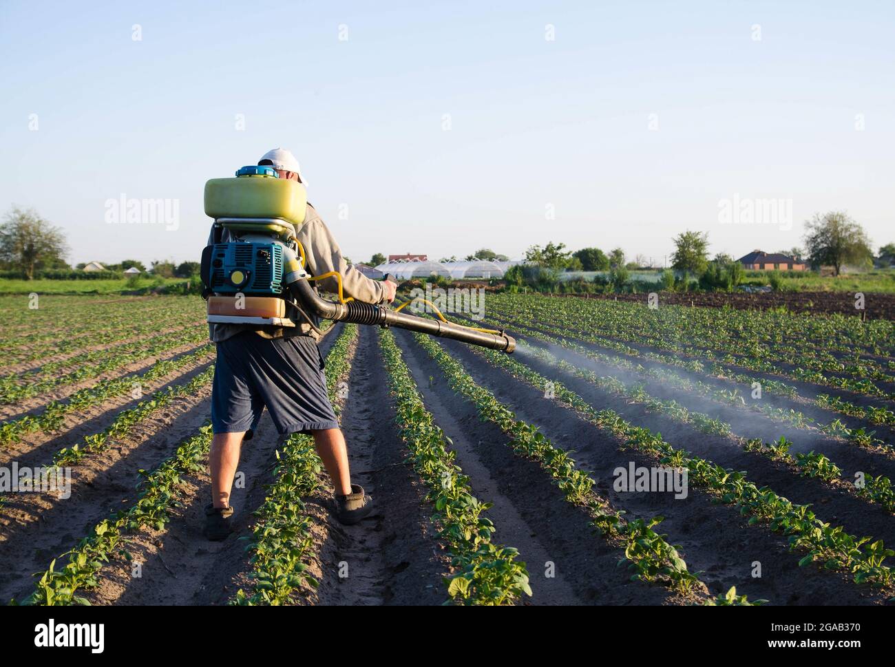 Agriculteur équipé d'un pulvérisateur pour les plantations. Protection des plantes cultivées contre les insectes et les infections fongiques. Résistance de la récolte aux ravageurs. CH Banque D'Images