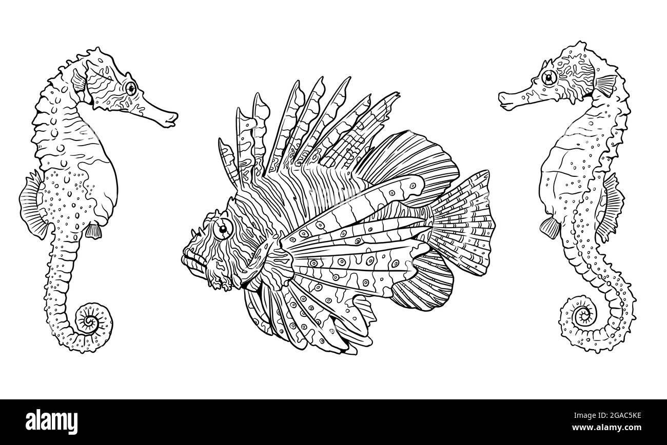Lionfish rouge tropical et hippocampes dans la nature parmi les récifs coralliens. Modèle coloré de poissons de mer. Livre de coloriage pour les enfants et les adultes. Banque D'Images