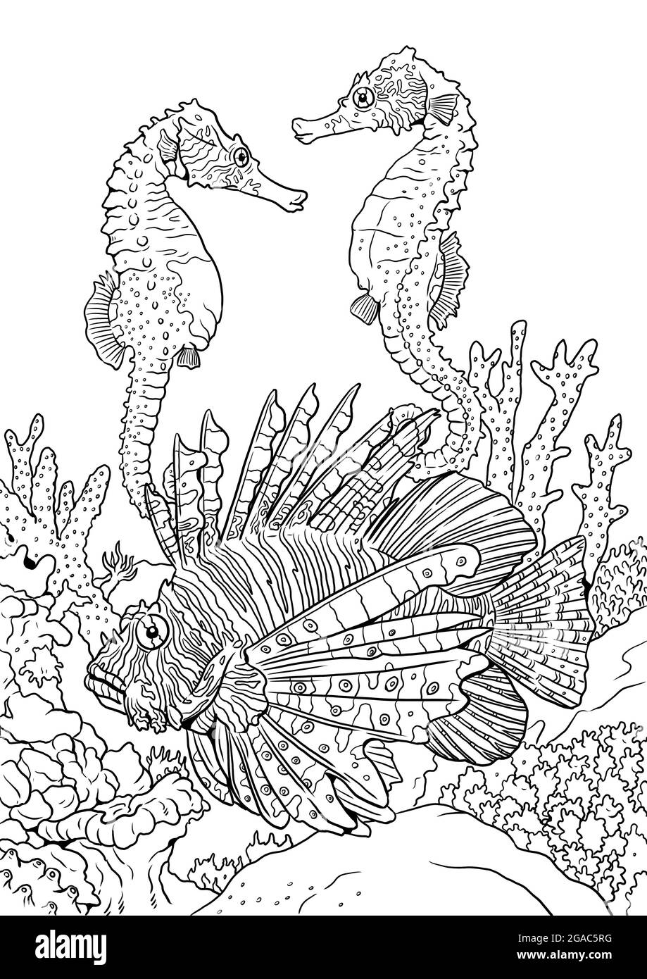 Lionfish rouge tropical et hippocampes dans la nature parmi les récifs coralliens. Modèle coloré de poissons de mer. Livre de coloriage pour les enfants et les adultes. Banque D'Images
