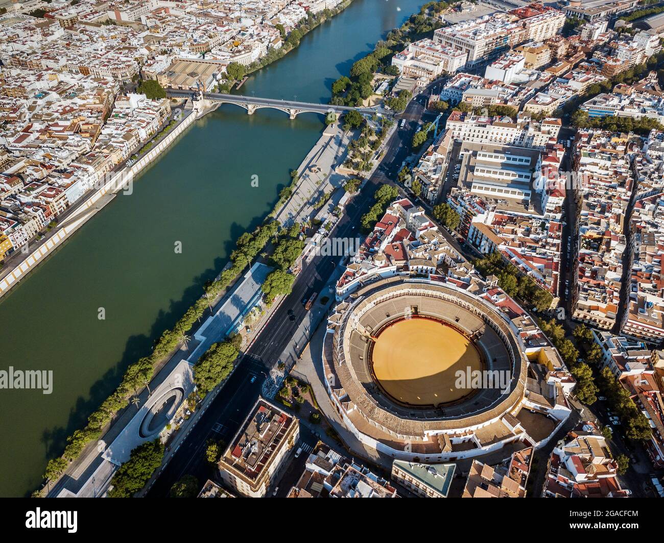 Arènes de la Real Maestranza de Caballería entouré par l'architecture blanche à Séville, Andalousie, Espagne Banque D'Images