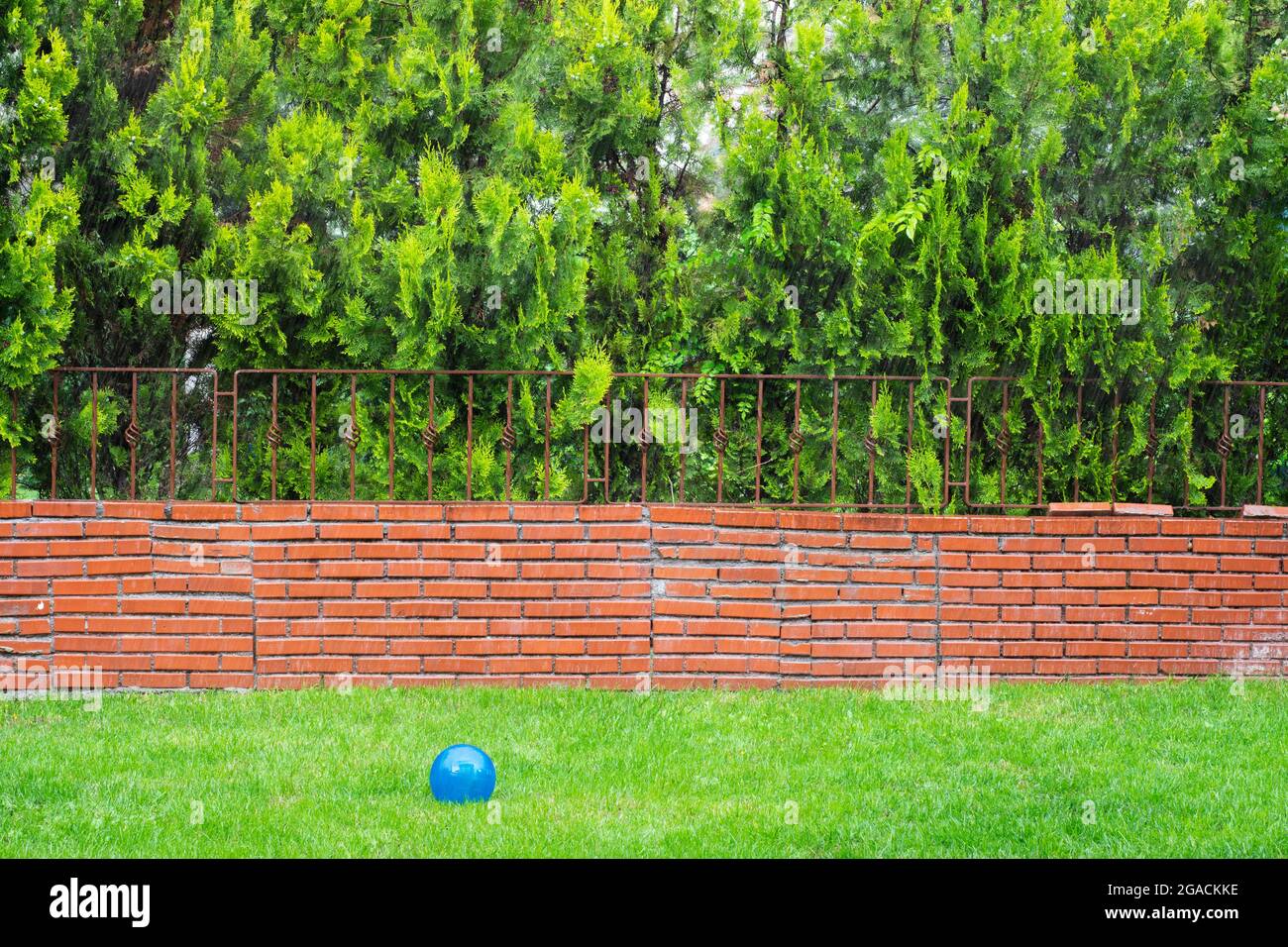 cyprès de citron, mur de briques, main courante en fer et boule en plastique bleu sur l'herbe. Banque D'Images