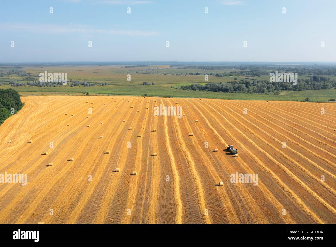 Beaucoup de balles de paille dans un champ faubouré : le tracteur emballe de la paille en balles, tir de drone aérien. Récolte de la paille dans le champ en été : le tracteur collecte la paille et l'emballe en balles Banque D'Images