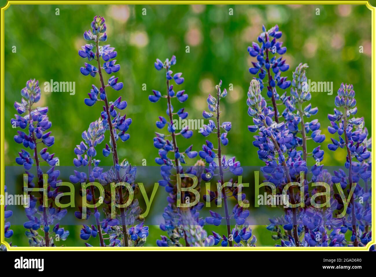 Voeux D Anniversaire Anglais Banque D Image Et Photos Alamy