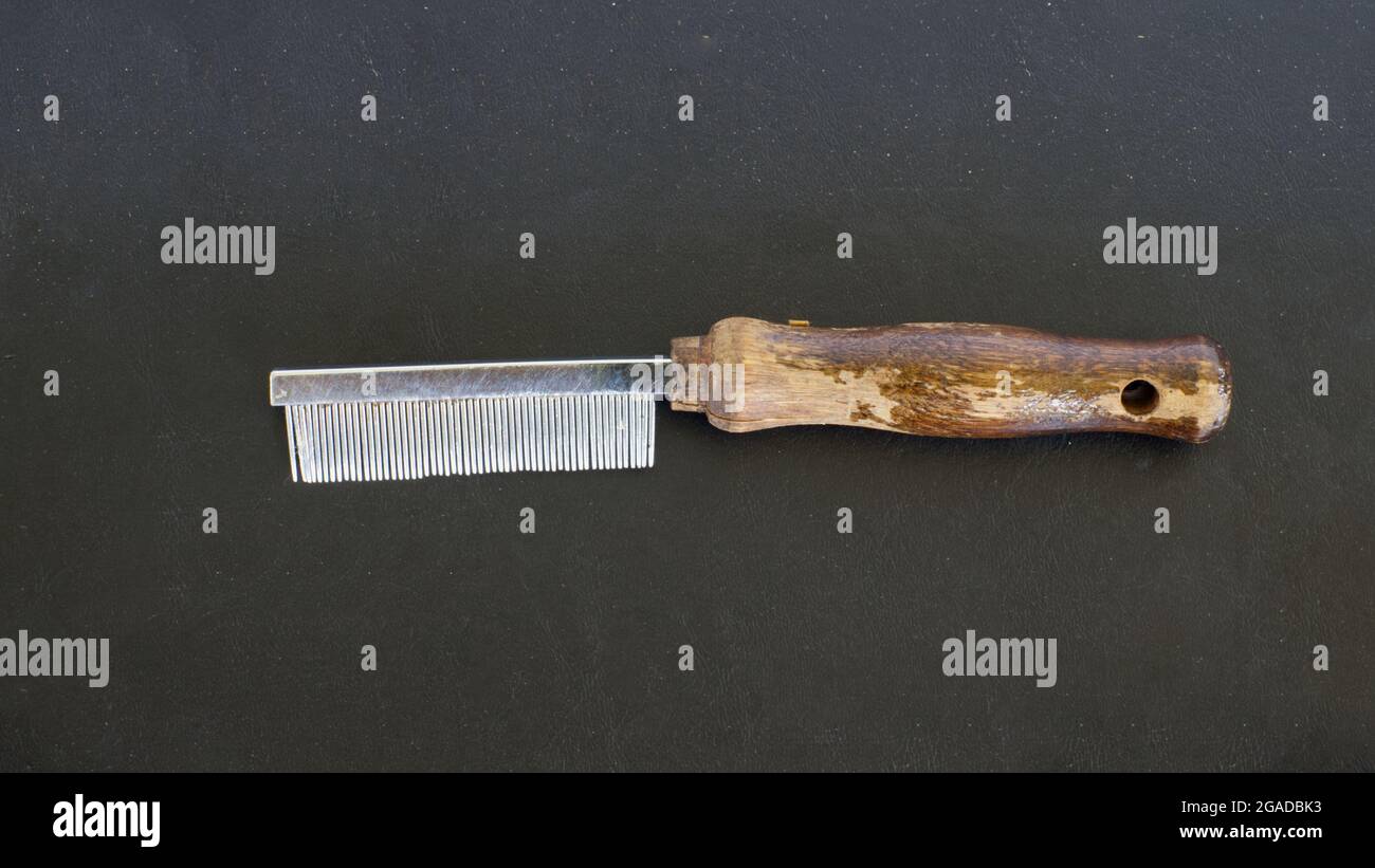 Ancien Peigne à Curry Pour Cheval - Bois Et Métal, Outil De Ferme Début 20ème