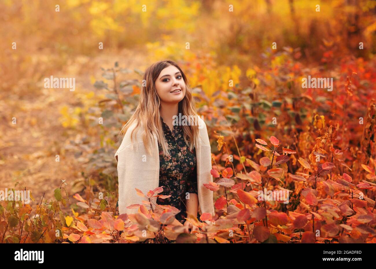 Belle jeune femme blonde portant une robe longue de style boho tout en étant assise avec un look pensif dans l'herbe haute en forêt d'automne décorée dans le rouge et le jaune Banque D'Images