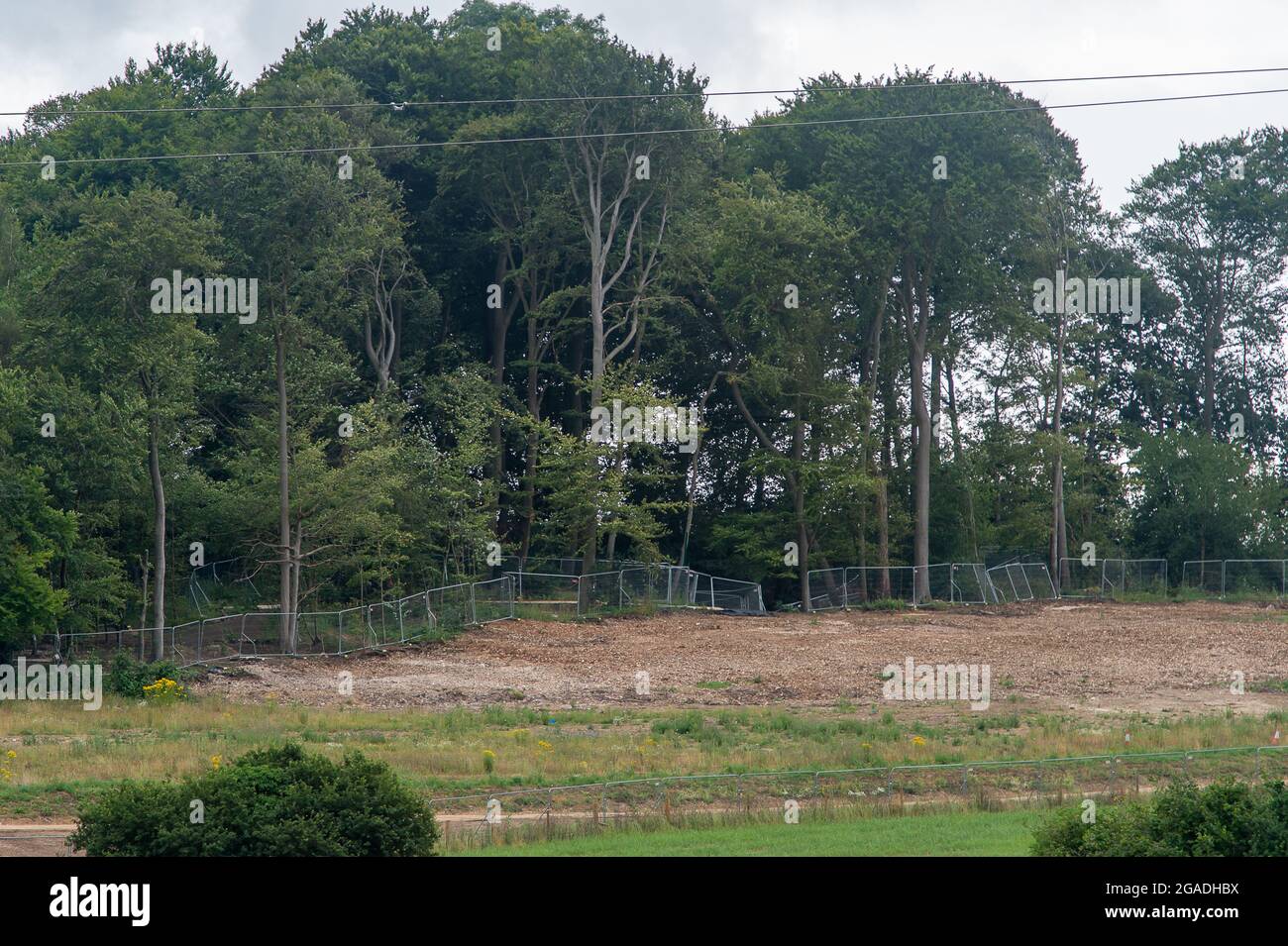 Aylesbury Vale, Buckinghamshire, Royaume-Uni. 28 juillet 2021. Les cicatrices de destruction causées par HS2 Ltd à Jones Hill Wood. HS2 a abattu un grand nombre de hêtres dans le bois, ce qui est censé avoir été l'inspiration pour l'auteur local des enfants Roald Dahl pour son livre le fantastique M. Fox. Crédit : Maureen McLean/Alay Banque D'Images