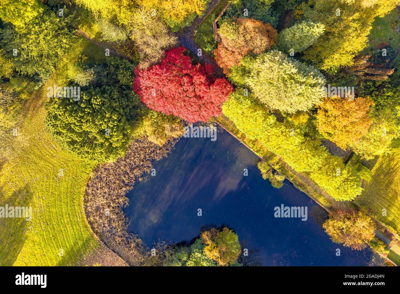 Vue aérienne du parc automnal avec des feuilles d'arbres jaunes, brunes et rouges sur un étang sous le soleil couchant. Banque D'Images