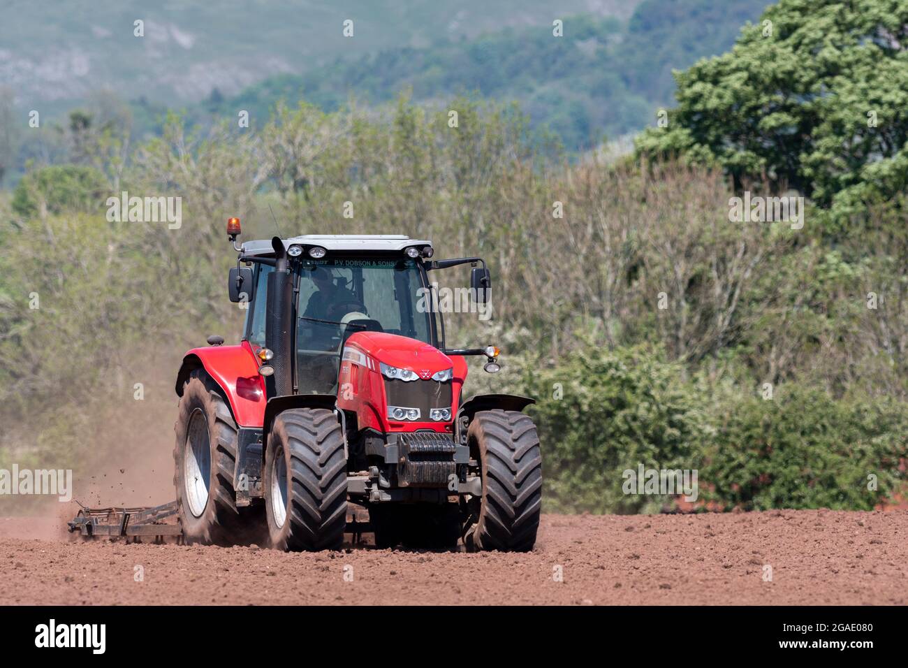 Agriculteur utilisant un Massey Ferguson 7616, en pressant le lit de semence après avoir réensemené un pré dans la vallée d'Eden, Cumbria, Royaume-Uni. Banque D'Images