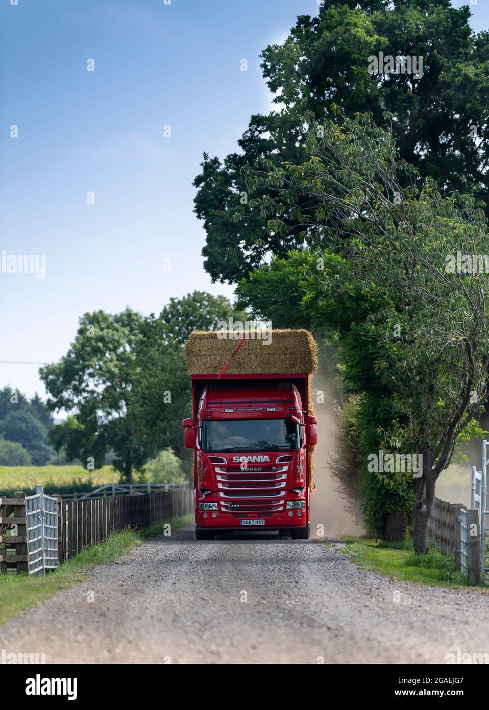 Camion avec une charge de paille en descendant sur une piste de ferme poussiéreuse, Yorkshire, Royaume-Uni. Banque D'Images
