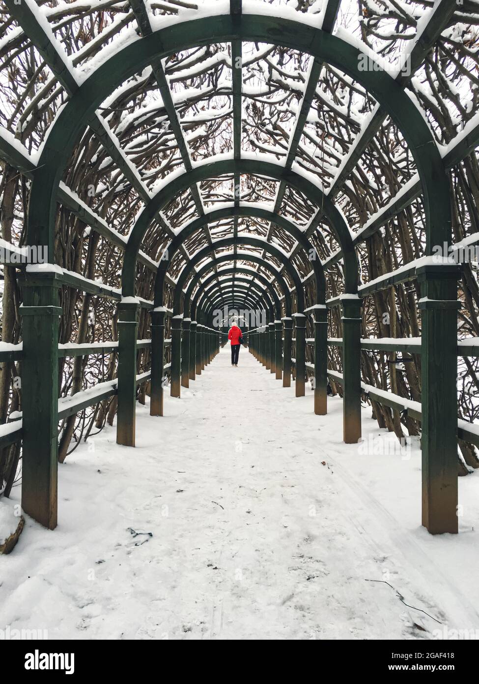 Personne dans le parc d'hiver avec arches et arbres en premier plan Banque D'Images