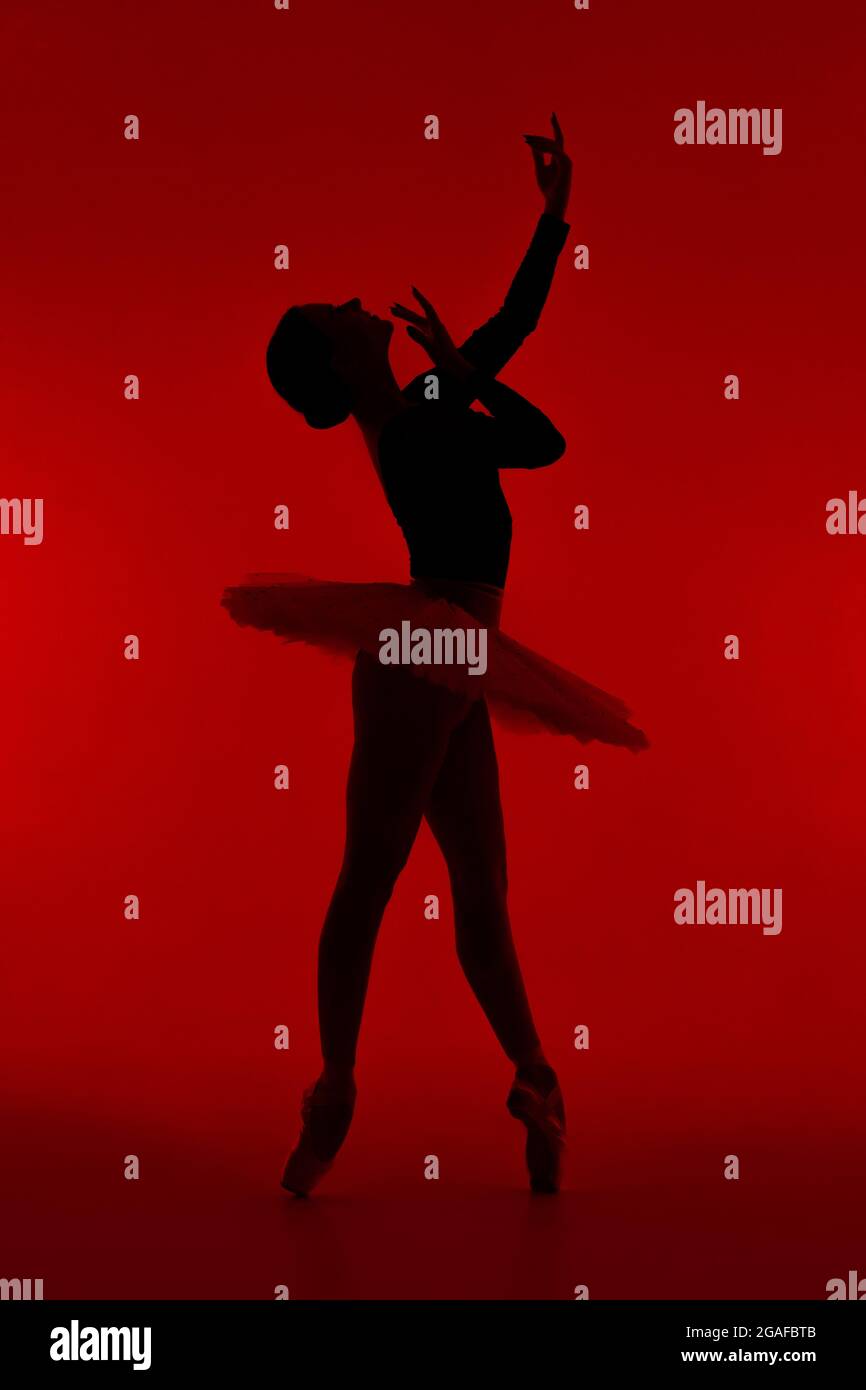 Belle silhouette de ballerine sur fond rouge danse ballet. Femme effectue  des mouvements fluides avec les mains. Danseuse sensuelle en robe tutu sur  scène Photo Stock - Alamy