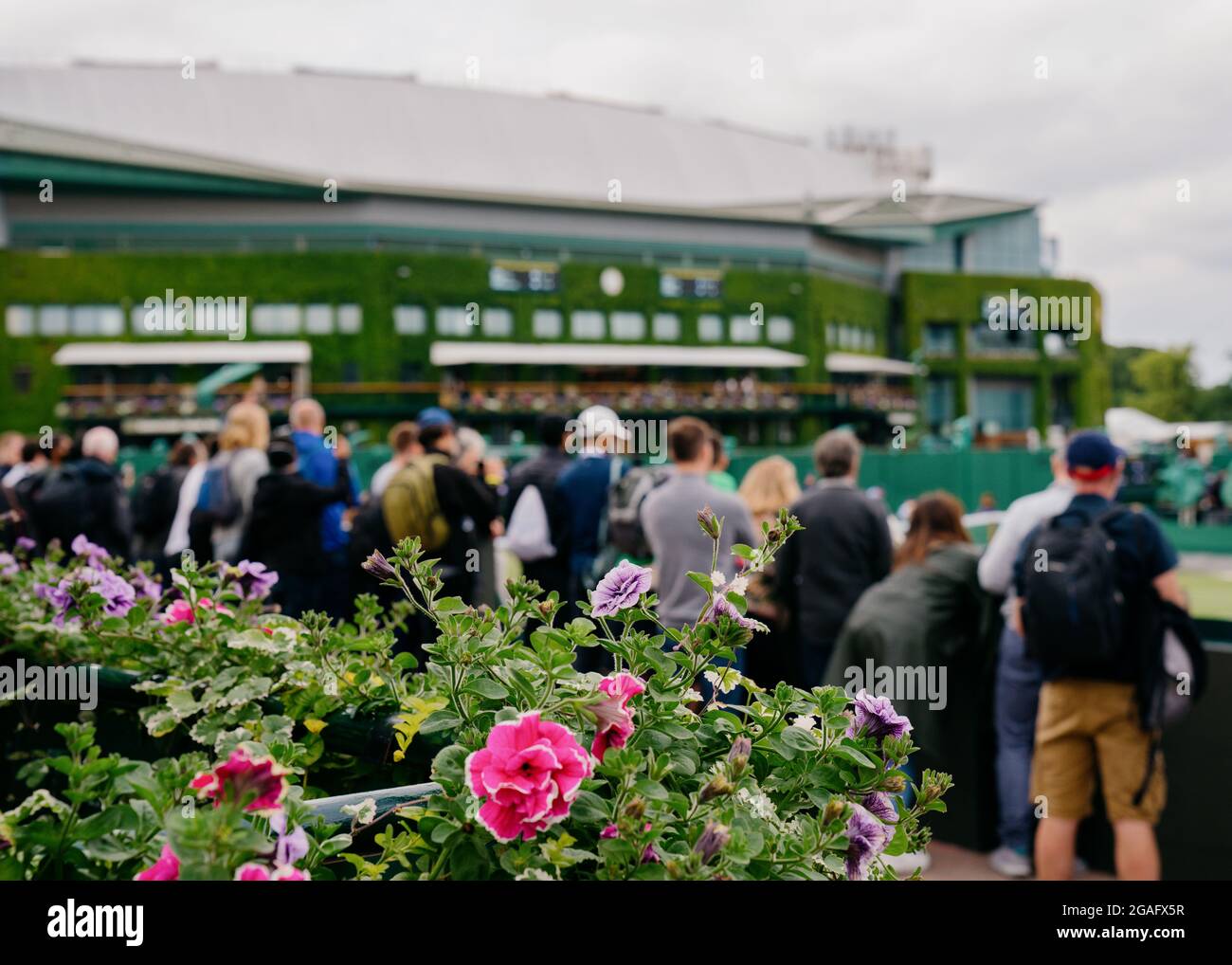 Fleurs surplombant la cour 8 pendant les championnats 2021 à Wimbledon avec vue sur la cour du Centre Banque D'Images