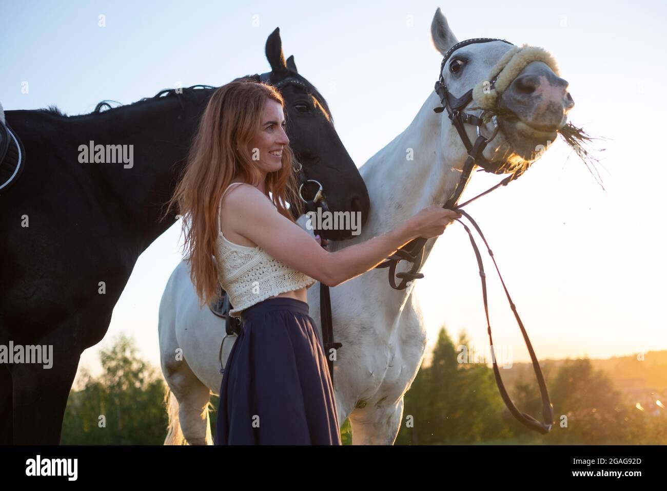 Jeune femme prendre soin de son cheval Banque D'Images