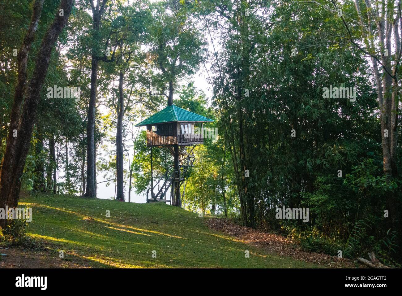 Maison d'arbres dans une forêt tropicale en Thaïlande. Porte d'entrée à la faune et au sanctuaire de la nature. Banque D'Images