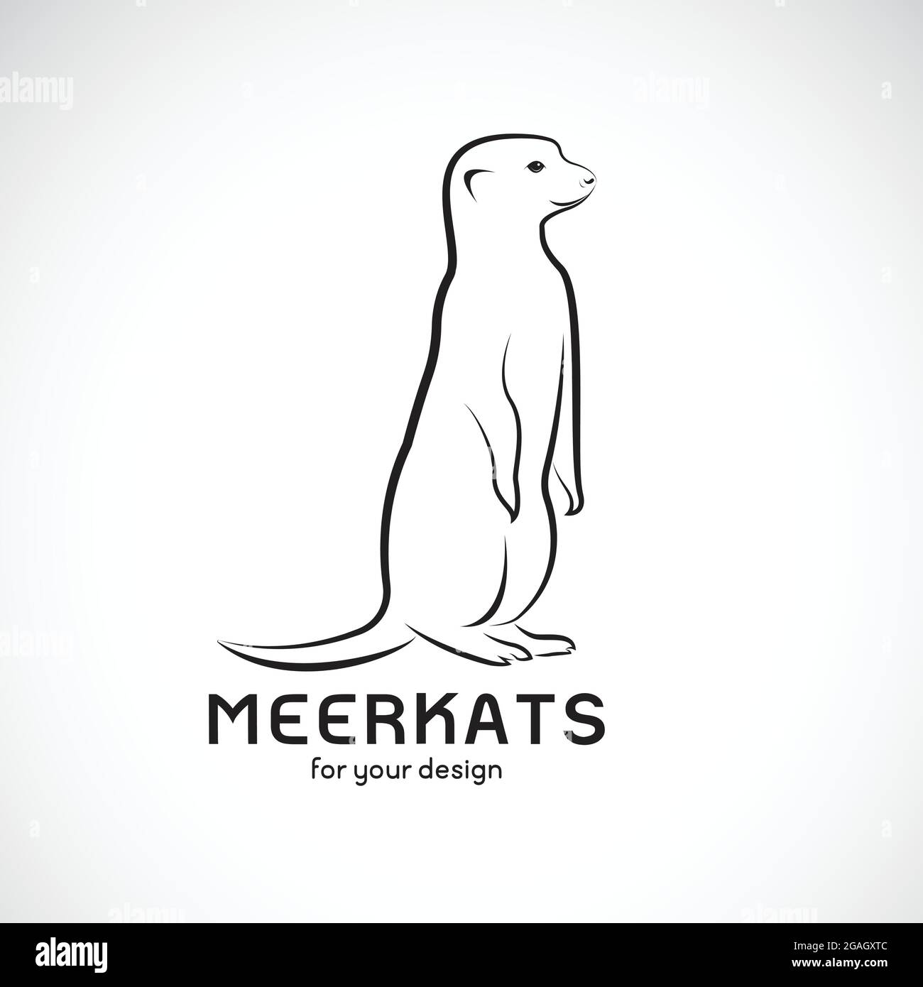 Vecteur de motif meerkats sur fond blanc. Animaux sauvages. Logo ou icône meerkats. Illustration vectorielle superposée facile à modifier. Illustration de Vecteur