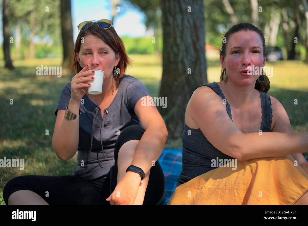 Deux femmes matures ayant pique-nique dans le parc Banque D'Images