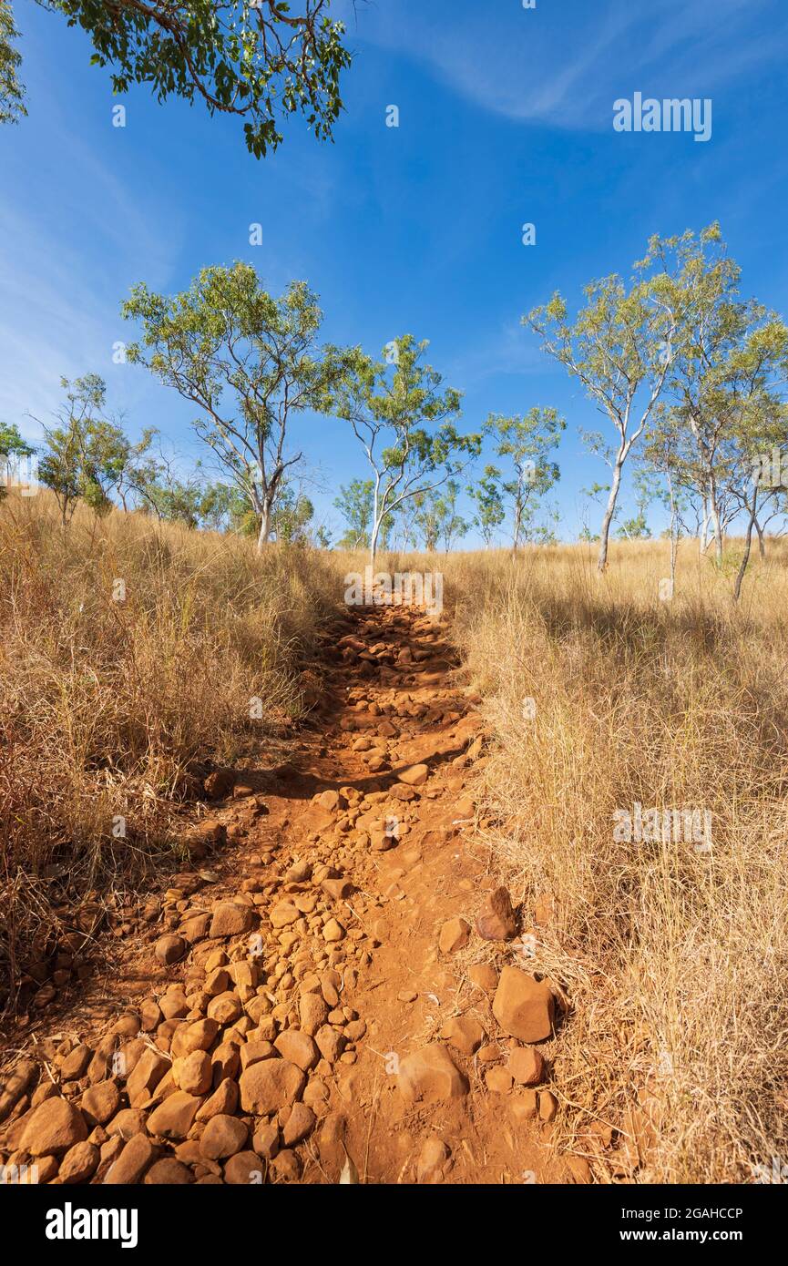Sentier de randonnée menant à Bell gorge à travers la savane, la région de Kimberley, Gibb River Road, Australie occidentale, Australie occidentale, Australie Banque D'Images