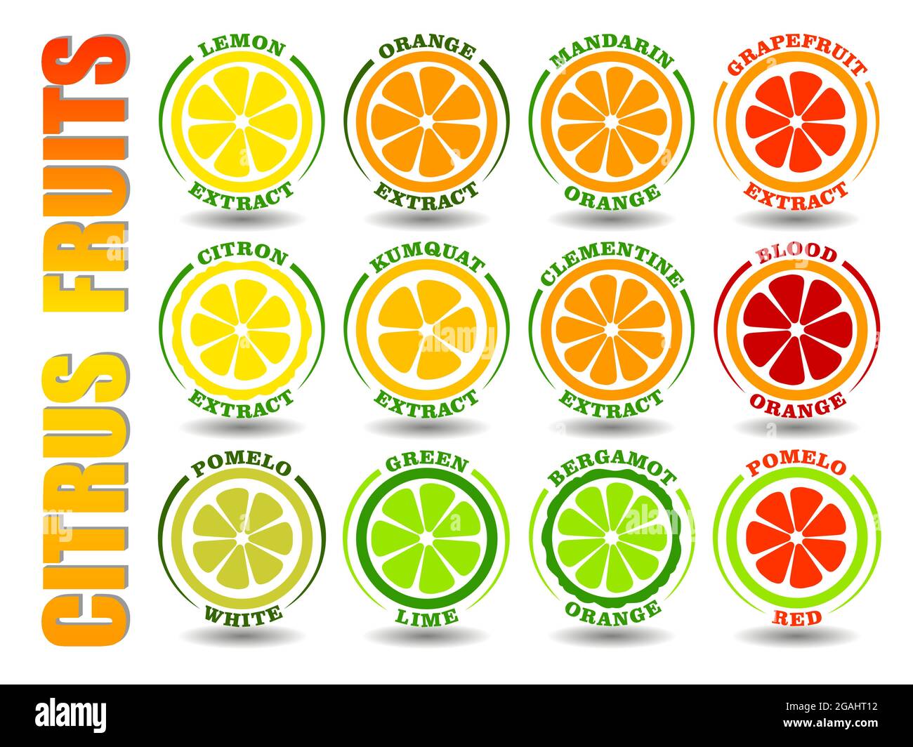 Ensemble de concepts créatifs de logos de dessins animés ronds avec icônes d'agrumes. Symboles d'illustration plate : orange, citron, citron vert, pamplemousse, Pomelo, Mandarin, Illustration de Vecteur