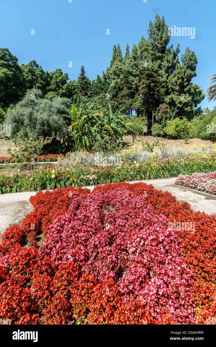 Botanischer Garten von Malaga, Jardín Botánico-Histórico la Concepción, Costa del sol, Provinz Malaga, Andalusien, Espagnol, Europe, Banque D'Images