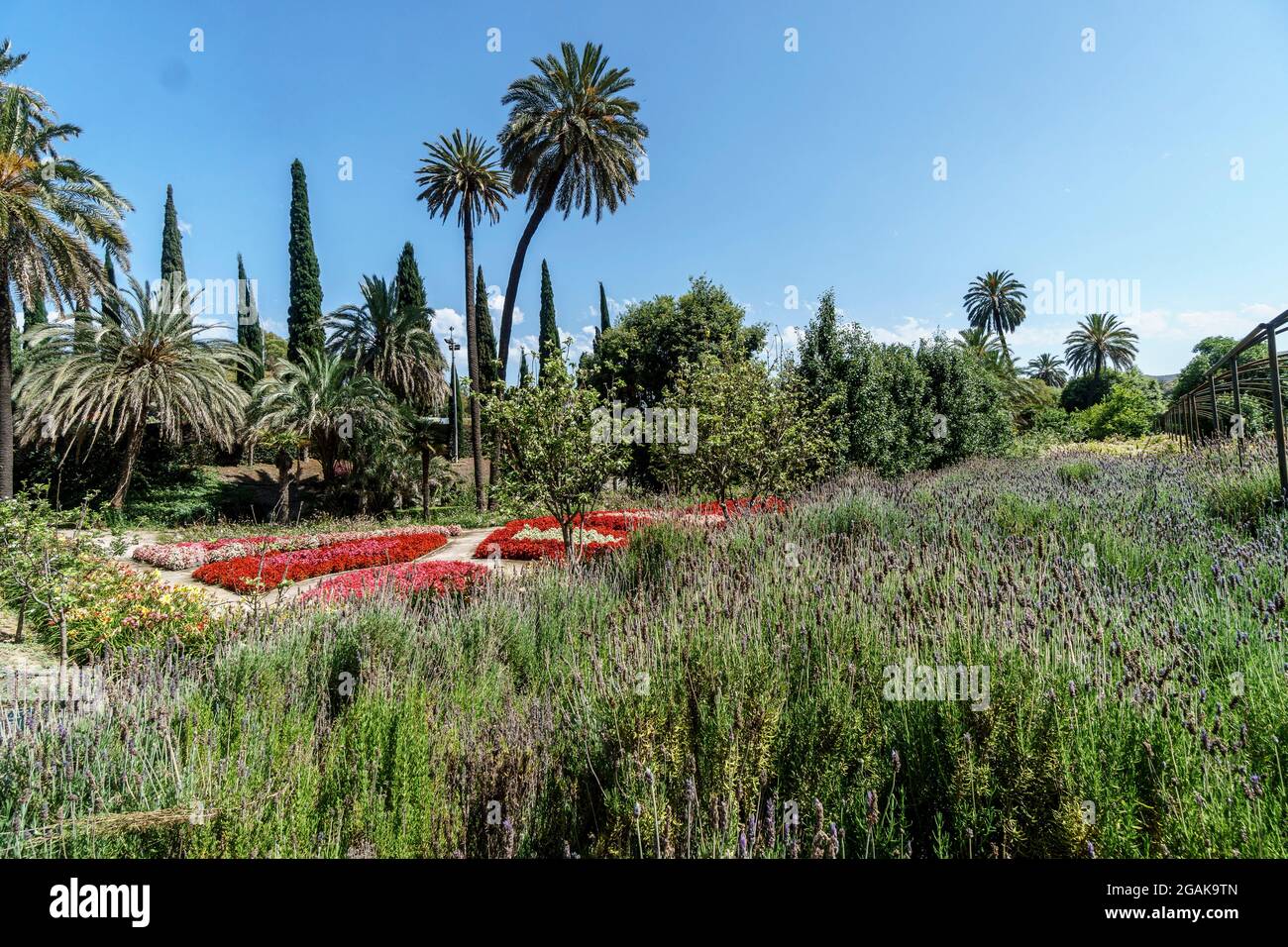 Botanischer Garten von Malaga, Jardín Botánico-Histórico la Concepción, Costa del sol, Provinz Malaga, Andalusien, Espagnol, Europe, Banque D'Images