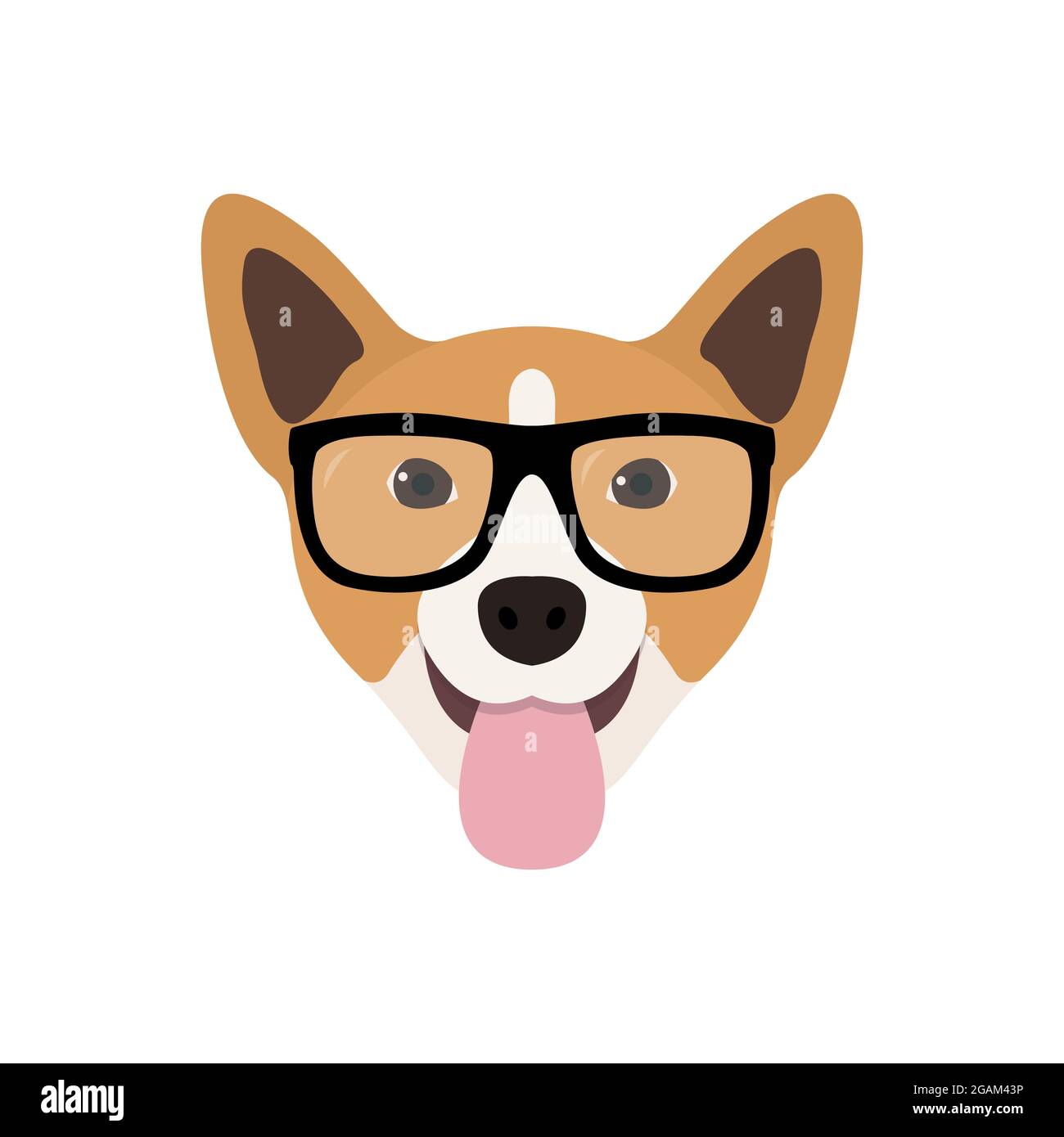 Chien Corgi en lunettes de mode. Icône chien drôle. Illustration vectorielle. Illustration de Vecteur