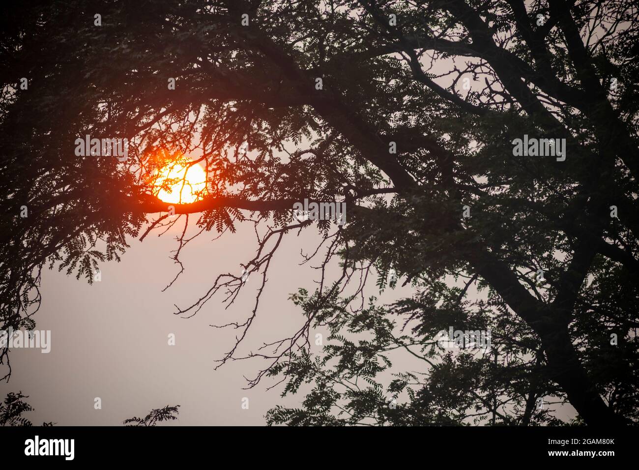Un soleil rouge au coucher du soleil est vu à Chelsea, à New York, le mardi 20 juillet 2021. La fumée des feux de forêt au Canada et dans l'ouest des États-Unis se déforme et cause la brume et une qualité de l'air plus faible (© Richard B. Levine) Banque D'Images