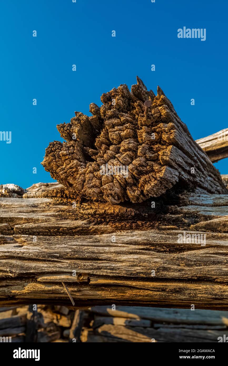 Des bûches dans une ancienne grange ou une cabane en bois à Ruple Ranch, une ancienne ferme à Island Park le long de la rivière Green à Dinosaur National Monument, Utah, Banque D'Images