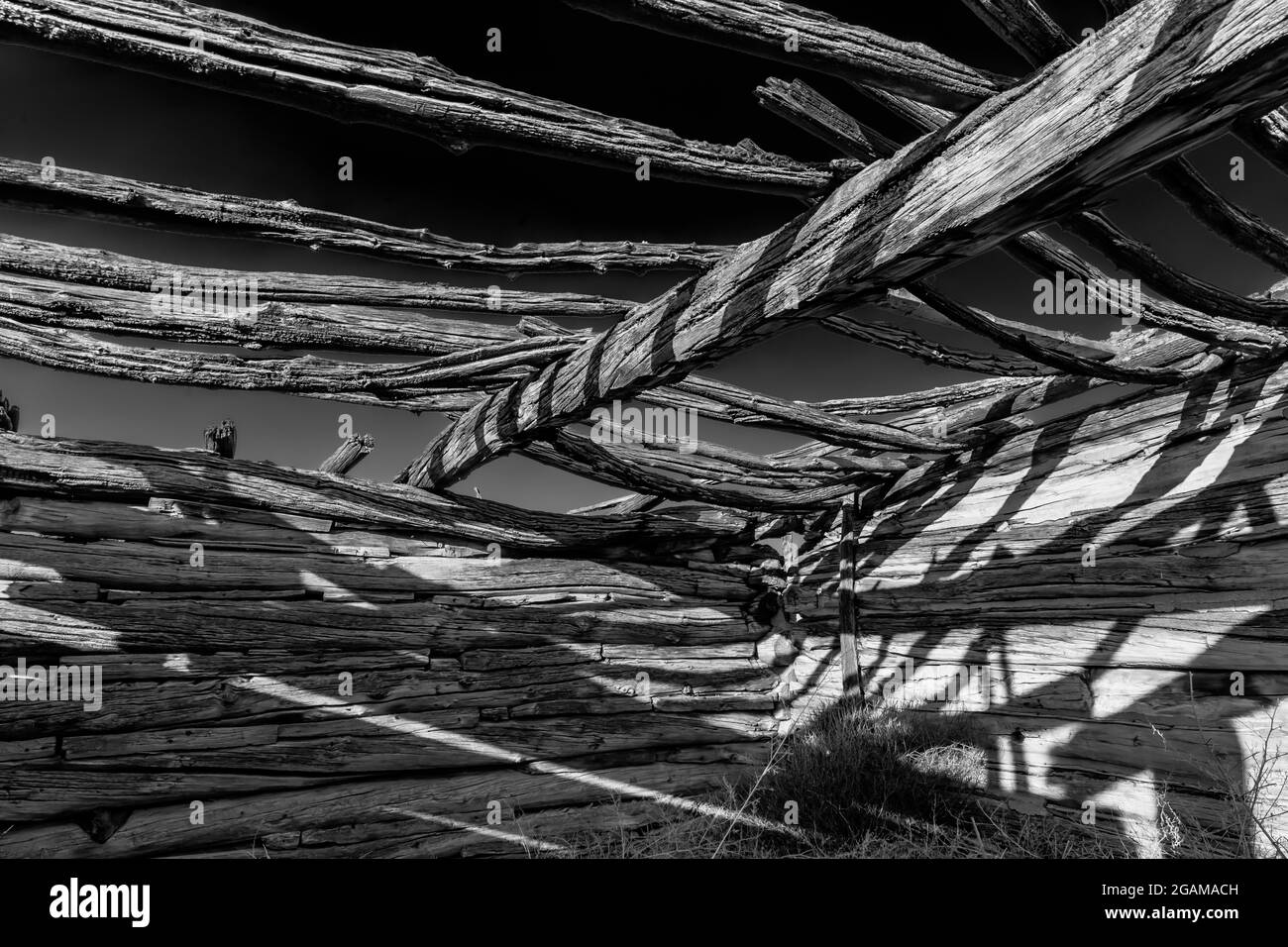 Des bûches dans une ancienne grange ou une cabane en bois à Ruple Ranch, une ancienne ferme à Island Park le long de la rivière Green à Dinosaur National Monument, Utah, Banque D'Images