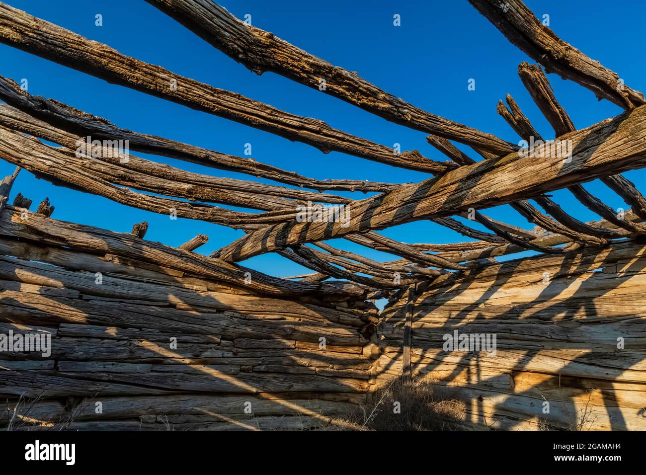 Des bûches dans une ancienne grange ou une cabane en bois à Ruple Ranch, une ancienne ferme à Island Park le long de la rivière Green à Dinosaur National Monument, Utah, Banque D'Images