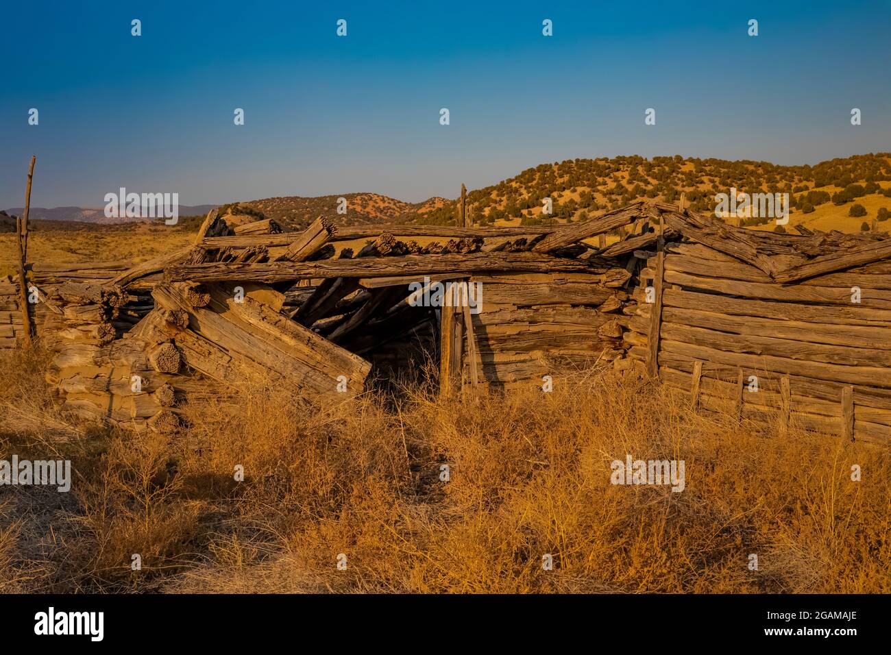 Grange en bois ou cabane à Ruple Ranch, une ancienne ferme à Island Park le long de la rivière Green, dans le monument national Dinosaur, Utah, États-Unis Banque D'Images