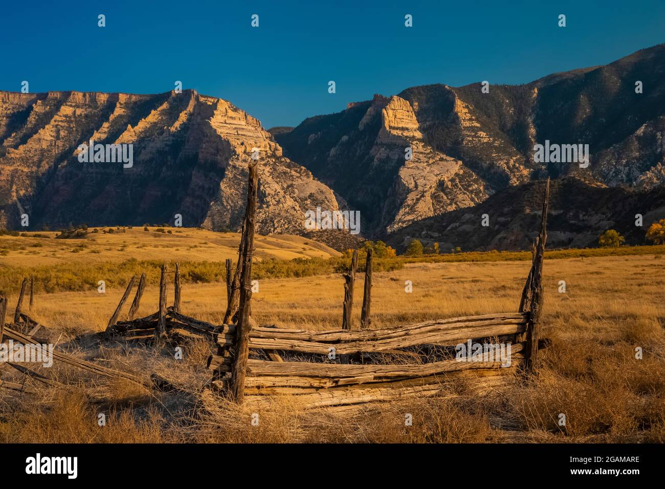 Ancien bâtiment abîmé à Ruple Ranch, une ancienne propriété à Island Park le long de la rivière Green, dans le monument national Dinosaur, Utah, États-Unis Banque D'Images