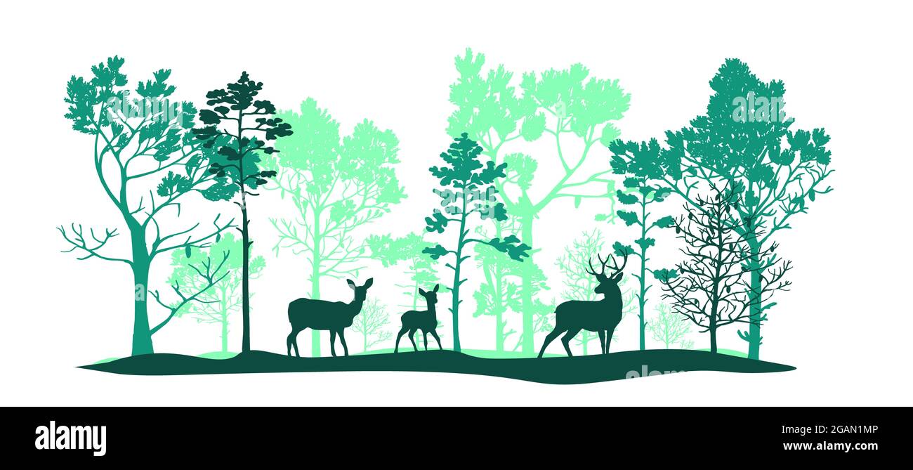 Ensemble vert d'arbres de différentes formes et tailles, cerf, doe, fauve. Brosse. Silhouettes de forêt et d'animaux. Illustration isolée sur fond blanc Banque D'Images