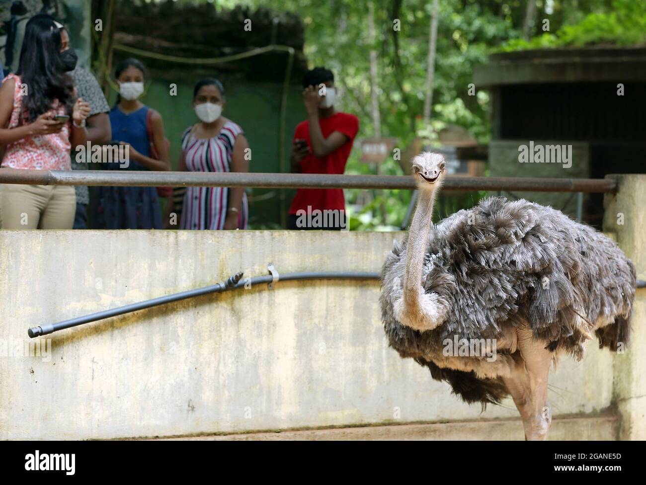 Zoo De Dehiwala Banque d'image et photos Alamy