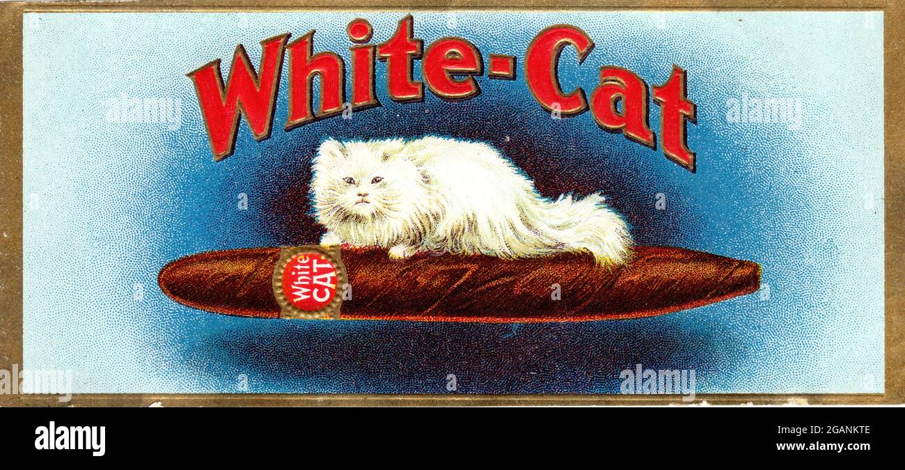 Étiquette de cigare blanc ca. 1920 publicité sur le tabac.. Banque D'Images