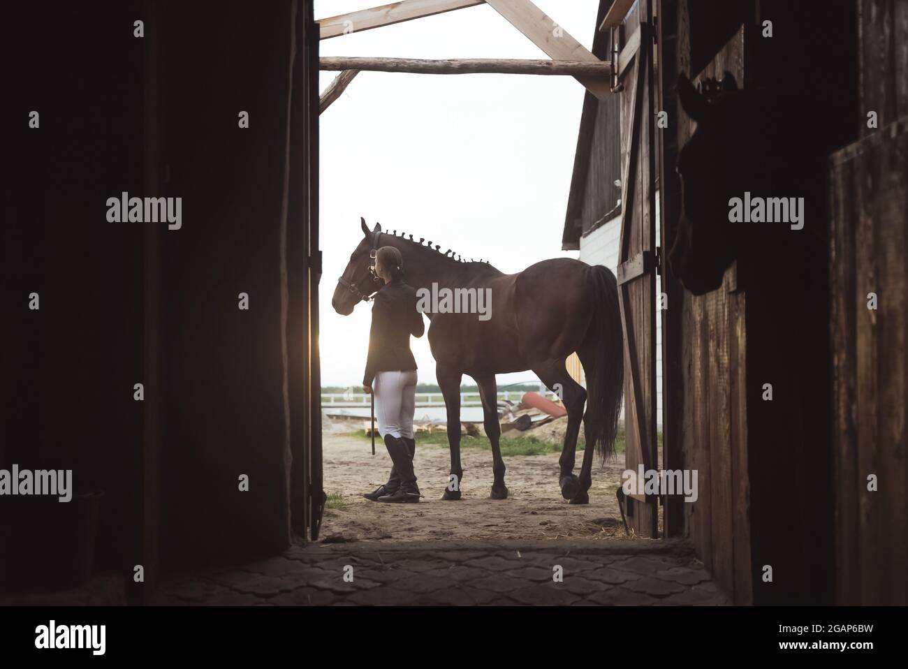 Horsewoman debout avec son cheval de baie sombre à l'extérieur de l'écurie.  Poser pour la caméra. Vue depuis la porte de l'écurie. Un autre cheval peut  être vu dans la stalle. Prise