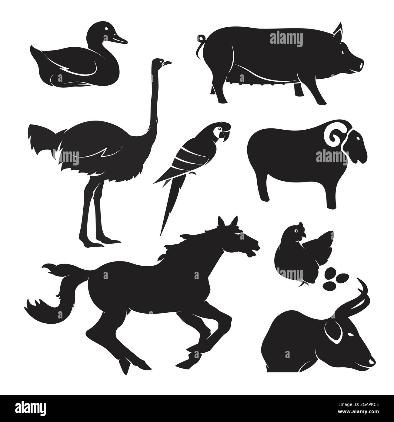 Animaux de ferme vectoriels sur fond blanc, cheval,porc,poulet,oiseau,canard,oie,vache,mouton. Illustration vectorielle superposée facile à modifier. Animaux. Illustration de Vecteur