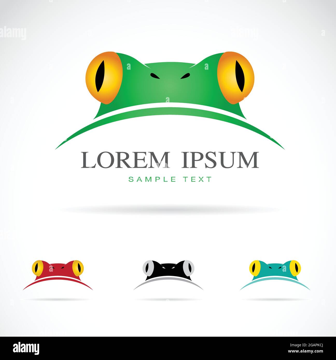 Image vectorielle d'une tête de grenouille sur fond blanc. Illustration ...