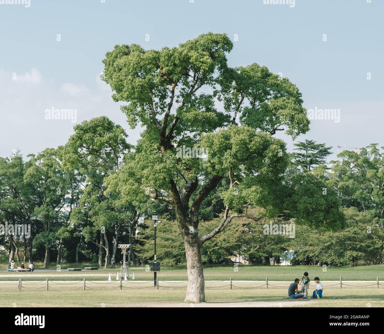 Fukuoka, Japon - Père et deux enfants se reposent sous l'arbre au parc Ohori, une oasis urbaine pour la région environnante. Banque D'Images